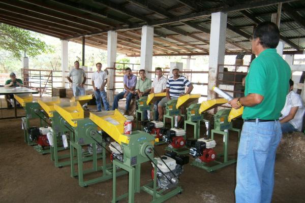 Prácticas silvopastoriles y ganadería - capacitación