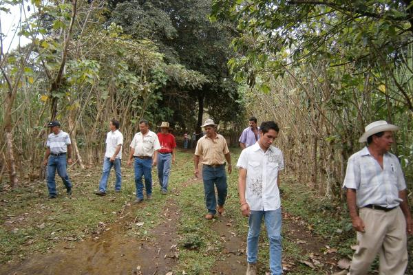 Giras de campo