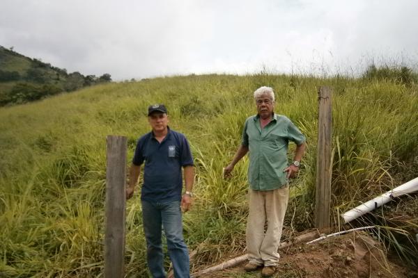 Siembra de pasto mejorado